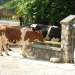 Altri frequentatori della montagna si ristorano nei pressi del nostro agriturismo