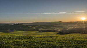 crete_senesi